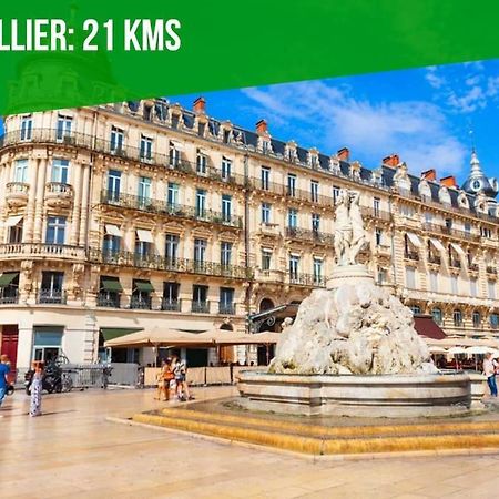 לה גרנד מוט Le Palais Maya - Lumineux - Wifi מראה חיצוני תמונה